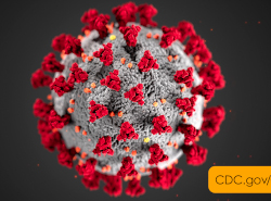 Coronavirus