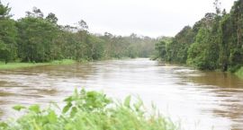 b_270_180_16777215_0_0_images_22_Waimanu-river-680x3651-750x403.jpg