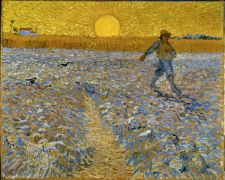 b_270_180_16777215_0_0_images_articles_zaaier-van-Gogh.jpg