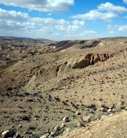 b_270_270_16777215_0_0_images_21_poust_v_izraeli.jpg